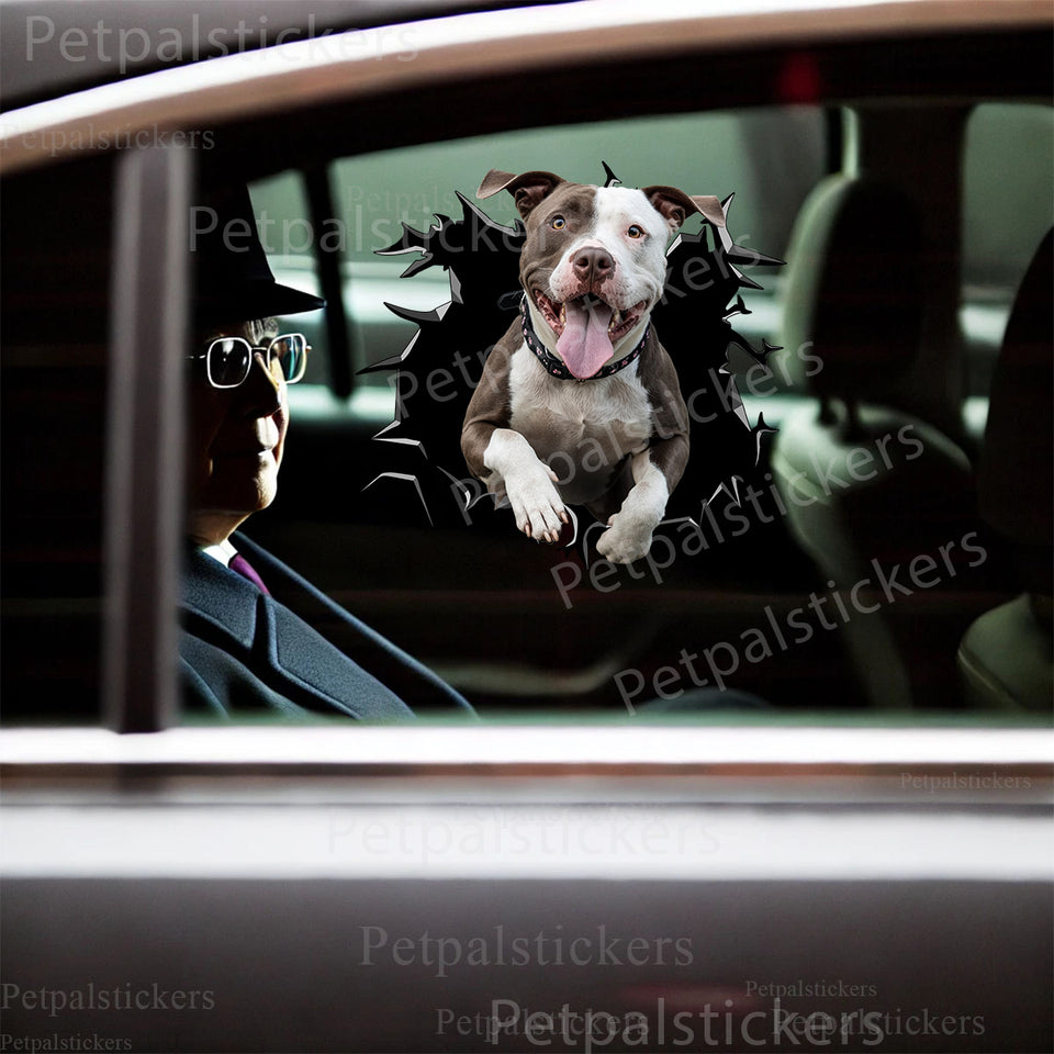 Realistic peeking Pitbull vinyl sticker applied onto the side car door of a white sedan.
