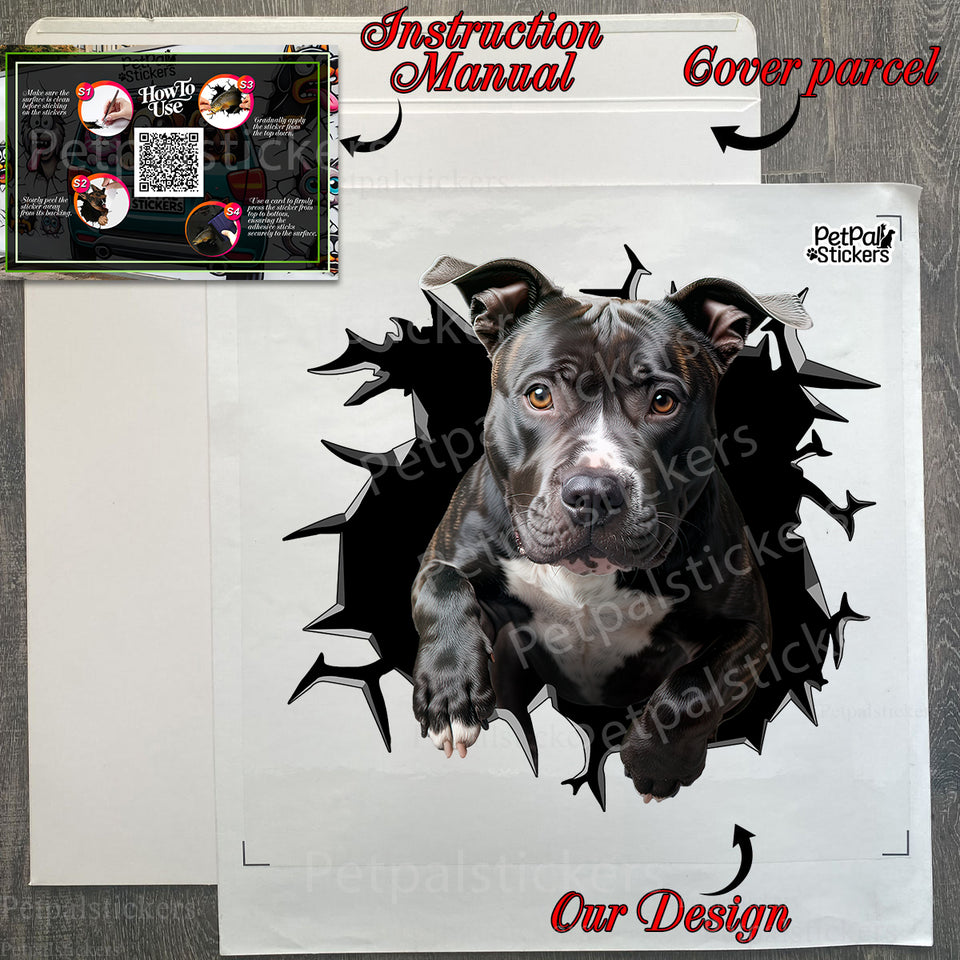 Carefully prepared package containing the Pitbull decal with application guide.