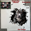 Carefully prepared package containing the Pitbull decal with application guide.