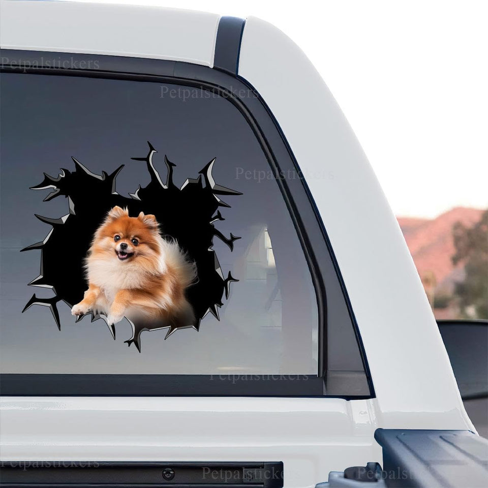 Vibrant Pomeranian decal graphic in a standalone product design layout.
