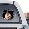 Vibrant Pomeranian decal graphic in a standalone product design layout.