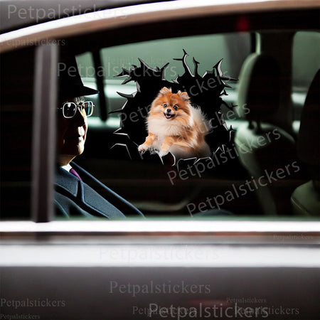 Humorous Pomeranian peek sticker attached neatly to the lid of a toilet.