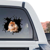 Fluffy Pomeranian window decal placed on the back window of a truck.
