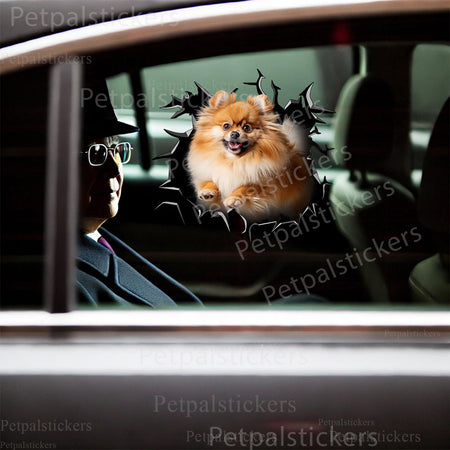 Playful Pomeranian graphic decal applied to a smooth white toilet tank surface.
