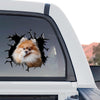 Cute Pomeranian graphic decal showcased in a standalone product design format.