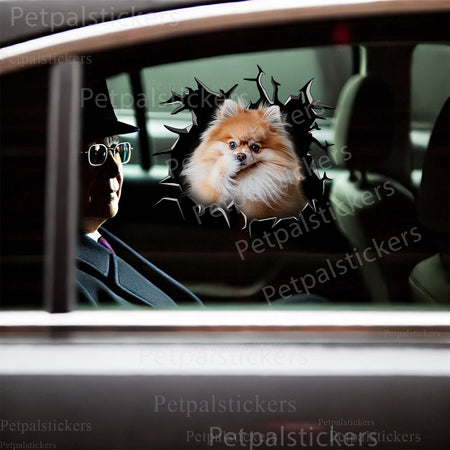 Humorous Pomeranian face sticker stuck onto the smooth lid of a toilet.
