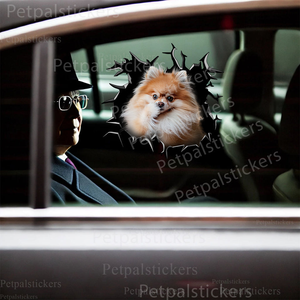 Glossy Pomeranian dog decal adhered smoothly to a vehicle car door.
