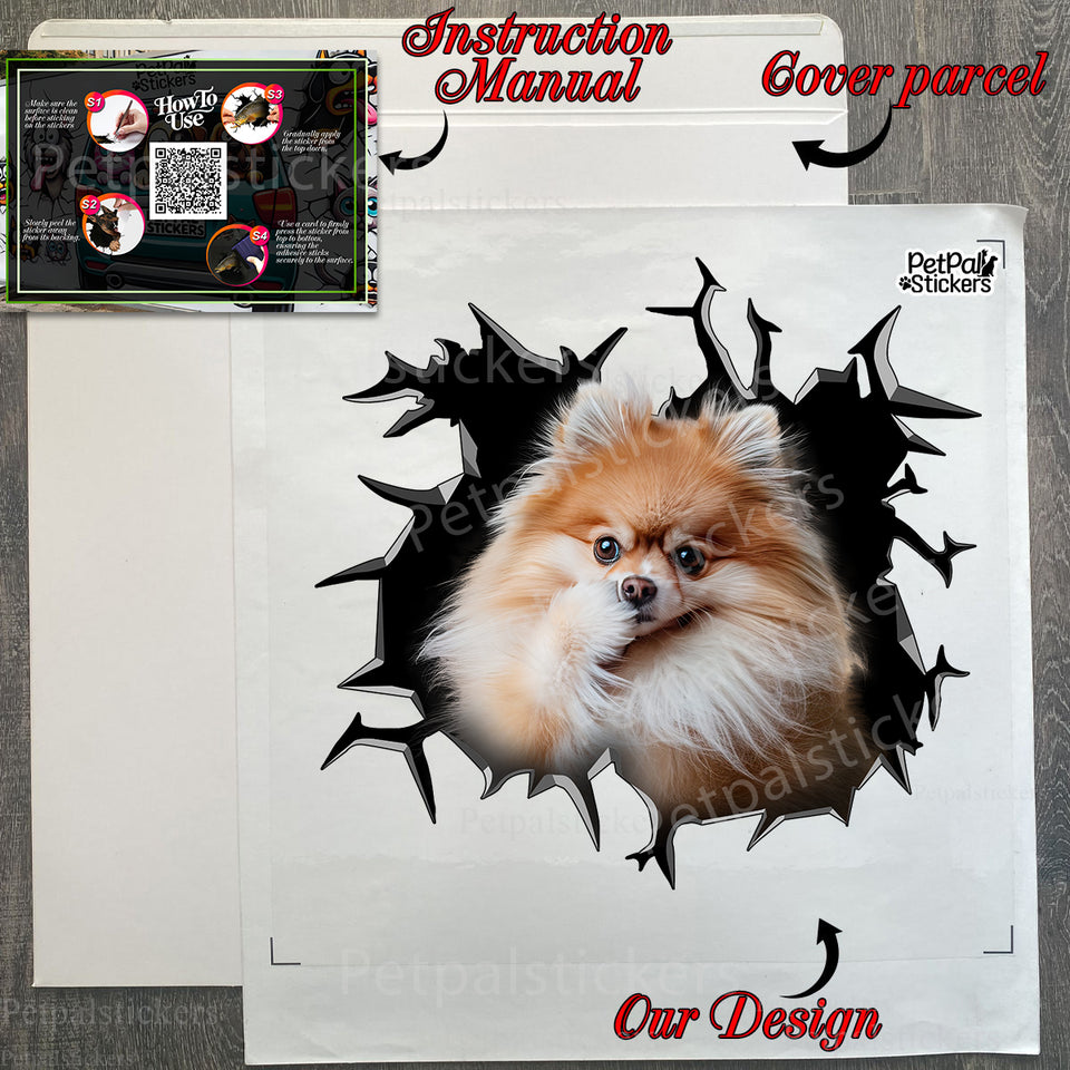 Unboxed Pomeranian decal shown with its complete protective retail package.