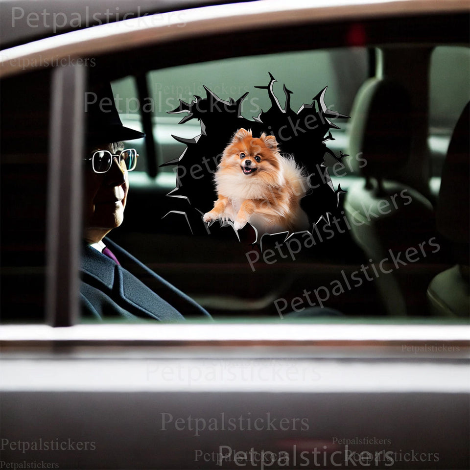Fluffy Pomeranian sticker applied smoothly on a white car door exterior surface.