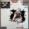 Protective retail package containing a glossy clear Pug decal with application instructions.