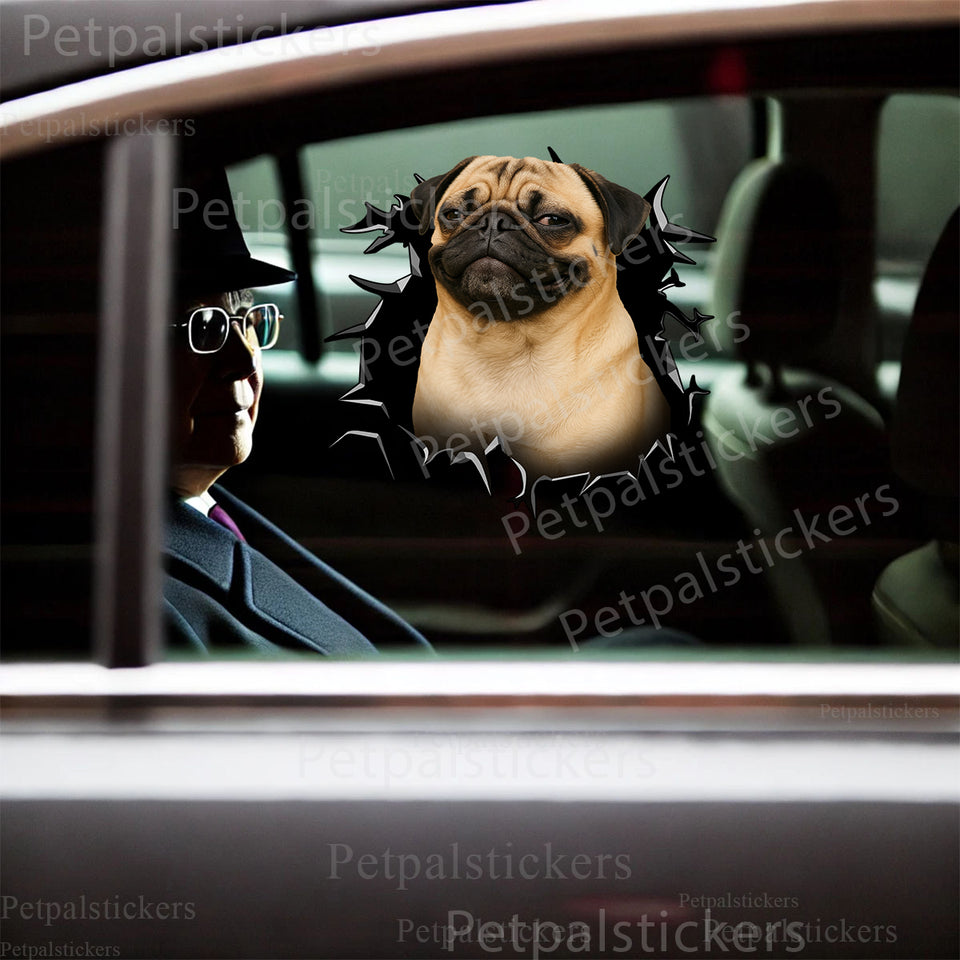 Vibrant Pug  For Laptop graphic sticker smoothly applied to the exterior car door panel.