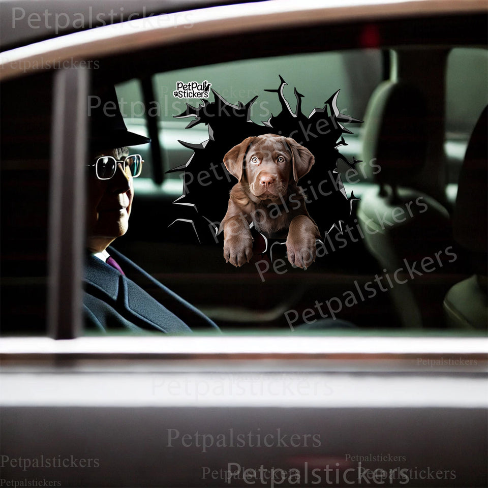 Vibrant Puppy Labrador vinyl sticker applied smoothly onto a white car door.