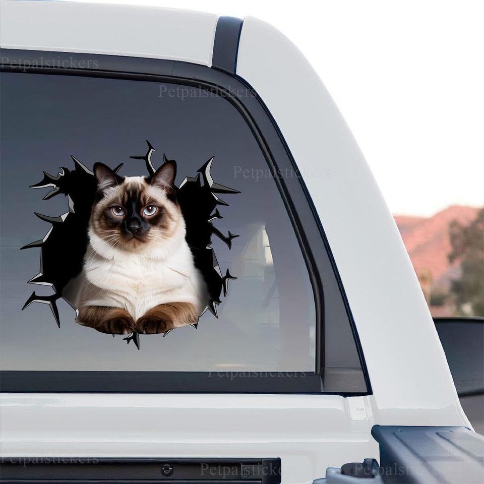 Ragdoll Cat decal showcasing clear transparent film in a standalone product design.
