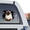 Ragdoll Cat decal showcasing clear transparent film in a standalone product design.