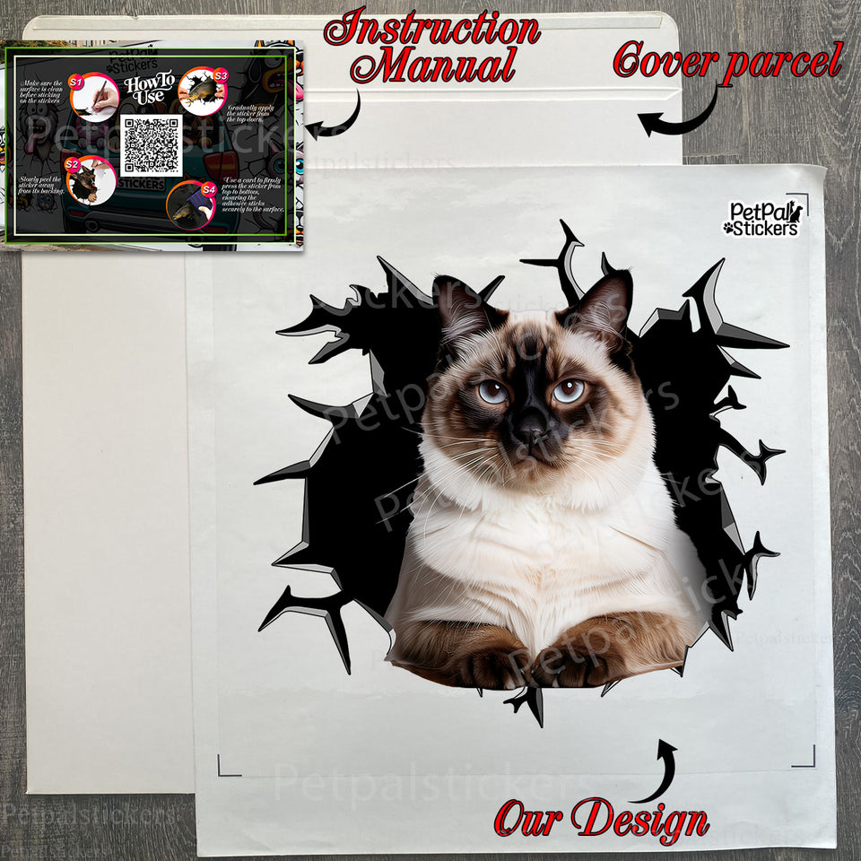 Securely wrapped package containing a premium glossy Ragdoll Cat vinyl car decal.
