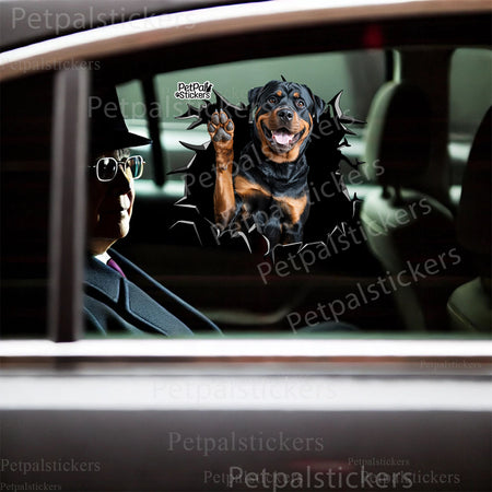Humorous Rottweiler dog sticker applied on the glossy lid of a white toilet.