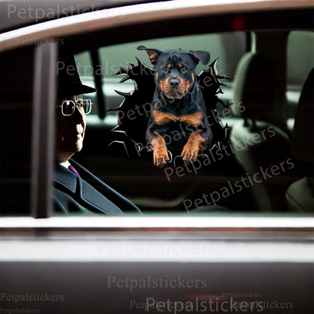 Playful Rottweiler decorative decal positioned neatly on a smooth porcelain toilet.
