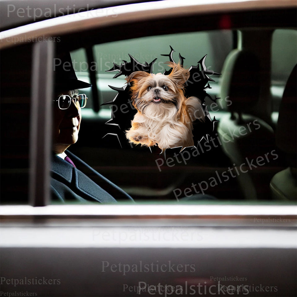 Shih Tzu peeking through broken glass decal applied smoothly on a car door exterior.