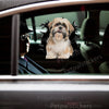 Glossy Shih Tzu Wall Dogs decal displayed smoothly on a white car door surface outdoors.