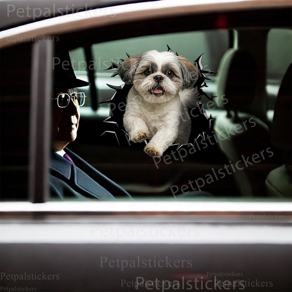 Cute Shihtzu dog decal applied seamlessly onto the smooth exterior of a white car door.