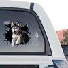 Exterior rear window of a truck featuring a Siberian Husky cracked glass graphic decal.
