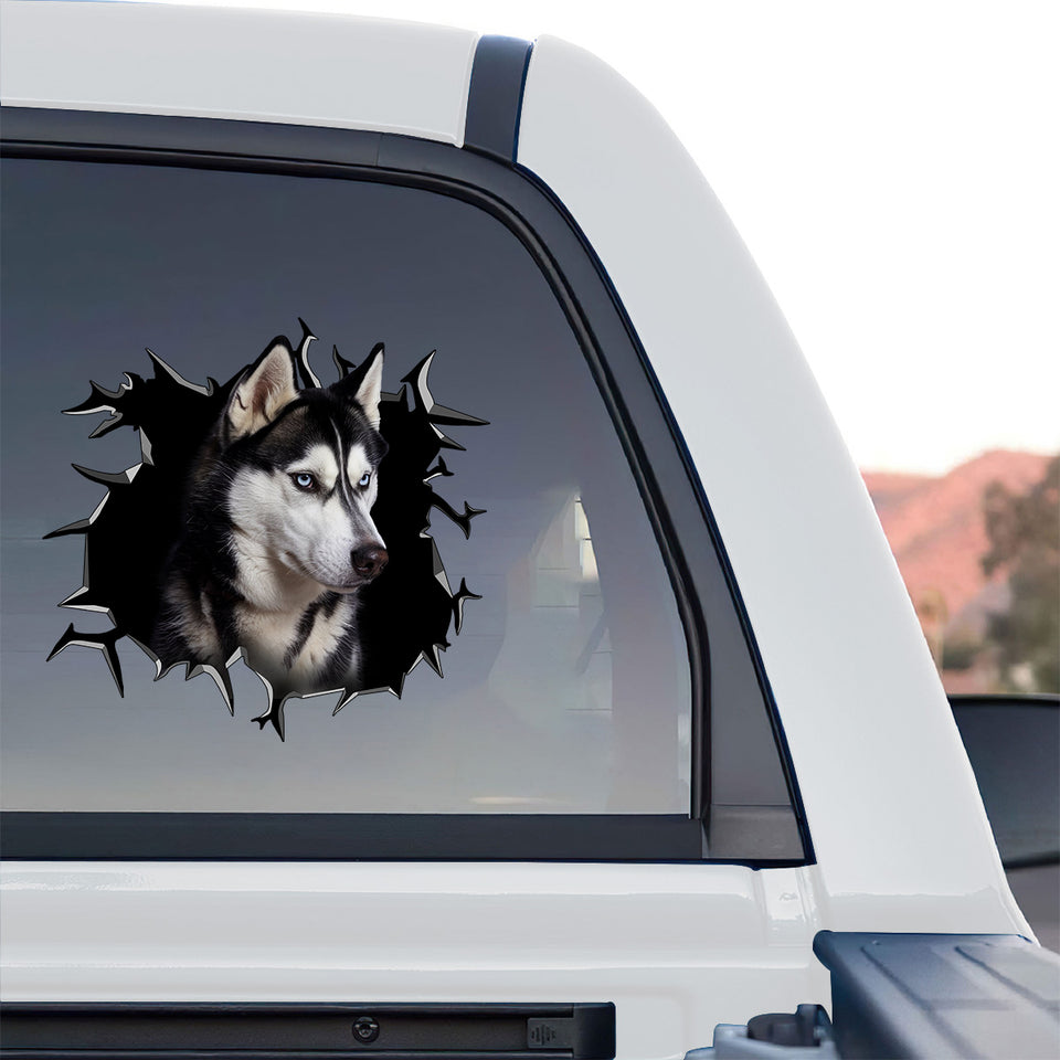Vibrant Siberian Husky window sticker applied to the rear window of a truck.