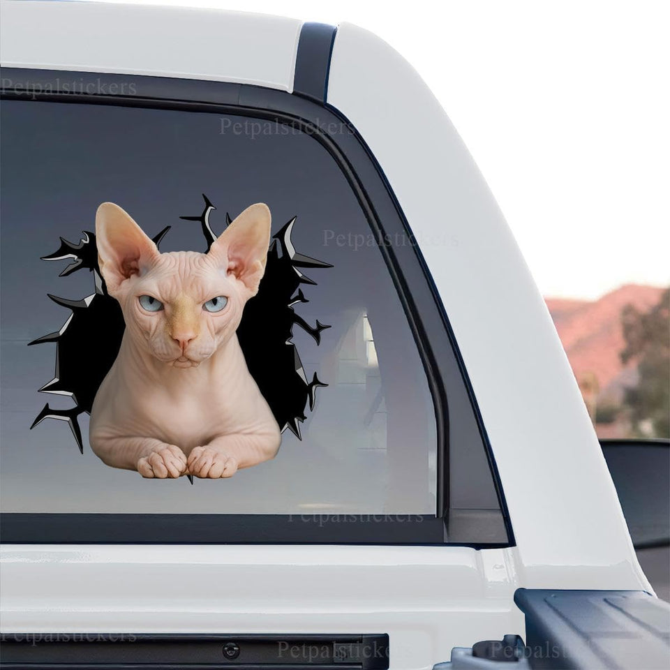 Sphynx Cat sticker artwork shown as a standalone product design on a clear background.