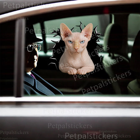 Playful Sphynx Cat vinyl sticker applied neatly to a smooth bathroom toilet lid.