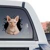 Glossy Sphynx Cat vinyl sticker applied to the rear window of a truck.