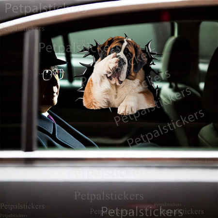 Playful St. Bernard meme decal applied on a smooth white toilet tank lid.
