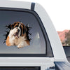 Large funny St. Bernard window sticker decorating the rear window of a truck.