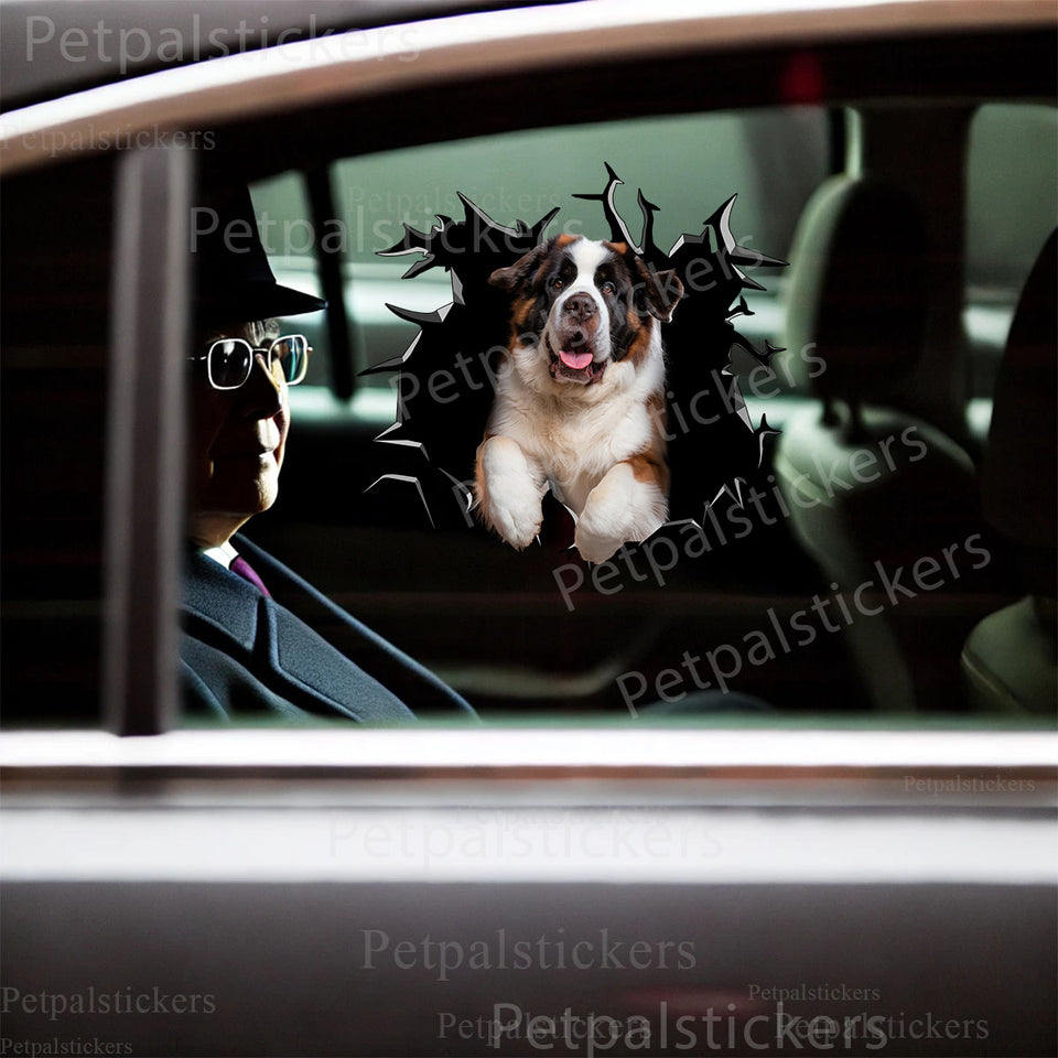 Vibrant St Bernard decal with gloss finish installed smoothly onto a car door exterior.