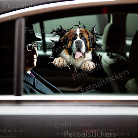 Humorous St. Bernards vinyl decal stuck securely onto the smooth ceramic lid of a toilet.