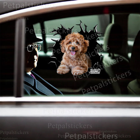 Playful Standard Poodle waterproof sticker applied to a smooth ceramic toilet lid.