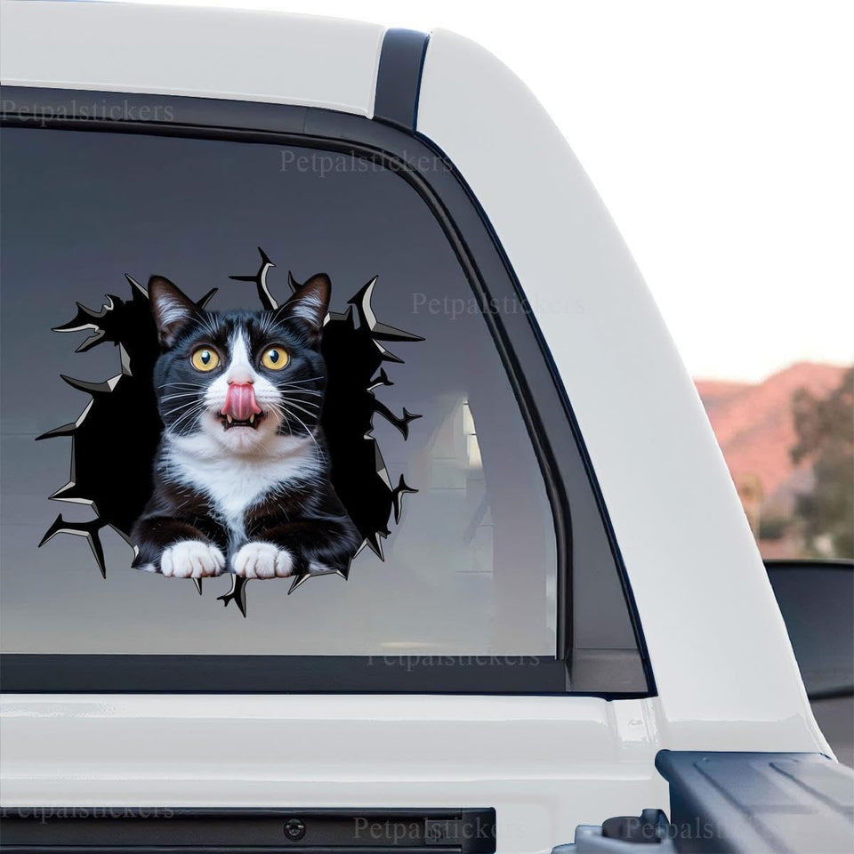 Vibrant Tuxedo Cat standalone product design printed on clear vinyl film for smooth exterior surfaces.