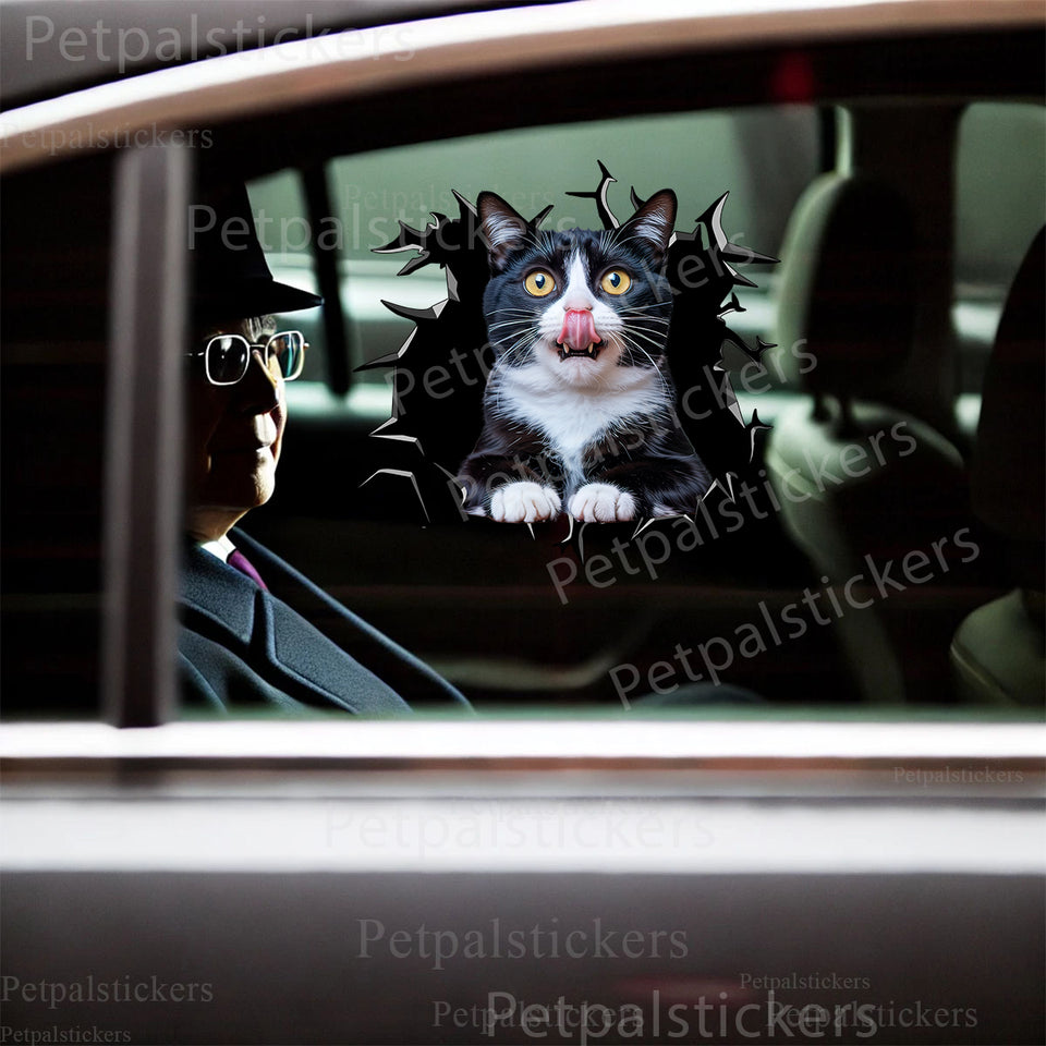 Glossy Tuxedo Cat decal displayed on a clean car door surface showcasing realistic peeking cat artwork.