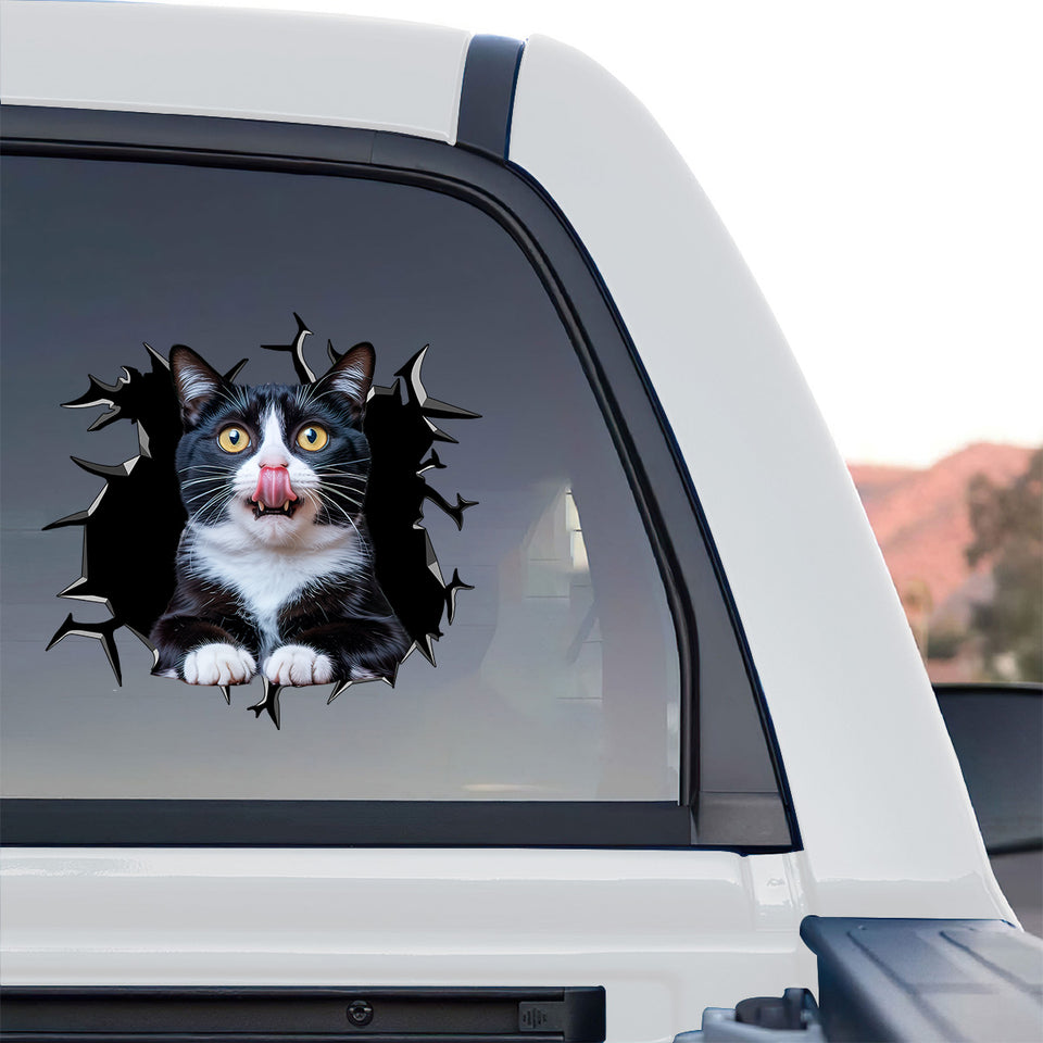 Weatherproof Tuxedo Cat vinyl graphic installed on the exterior rear window of a truck.