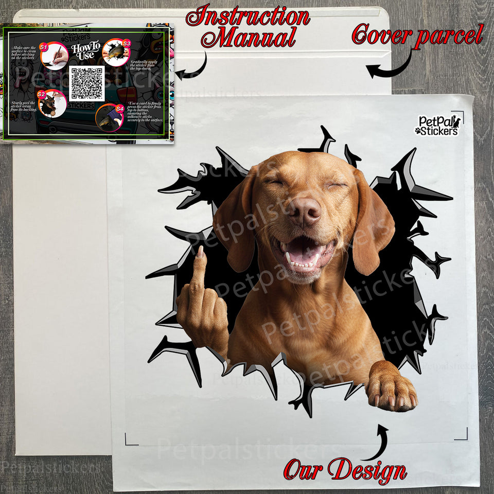 Unboxed Vizsla car sticker shown alongside its protective retail package.