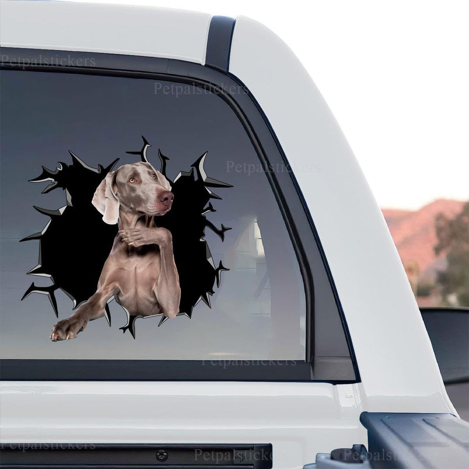 Weimaraner graphic decal graphic art displayed as a standalone product design on a clean surface.