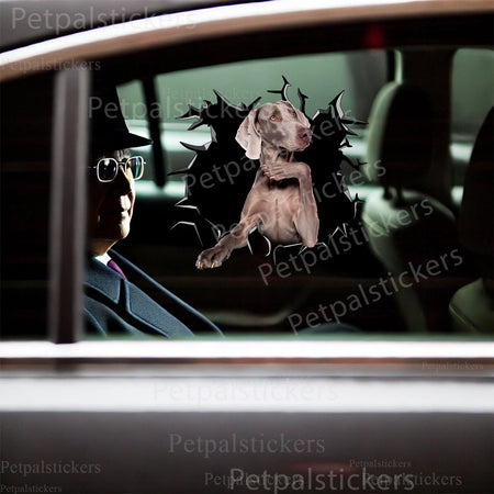 Playful Weimaraner dog decal applied to the lid of a bathroom toilet as fun decor.