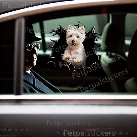 Humorous West Highland White Terrier decal applied neatly to a smooth porcelain toilet lid.