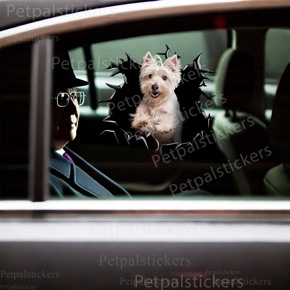 A cute West Highland White Terrier graphic decal adhered smoothly to an exterior car door.