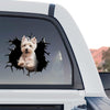 Vibrant West Highland White Terrier window decal displayed proudly on the rear glass of a truck.