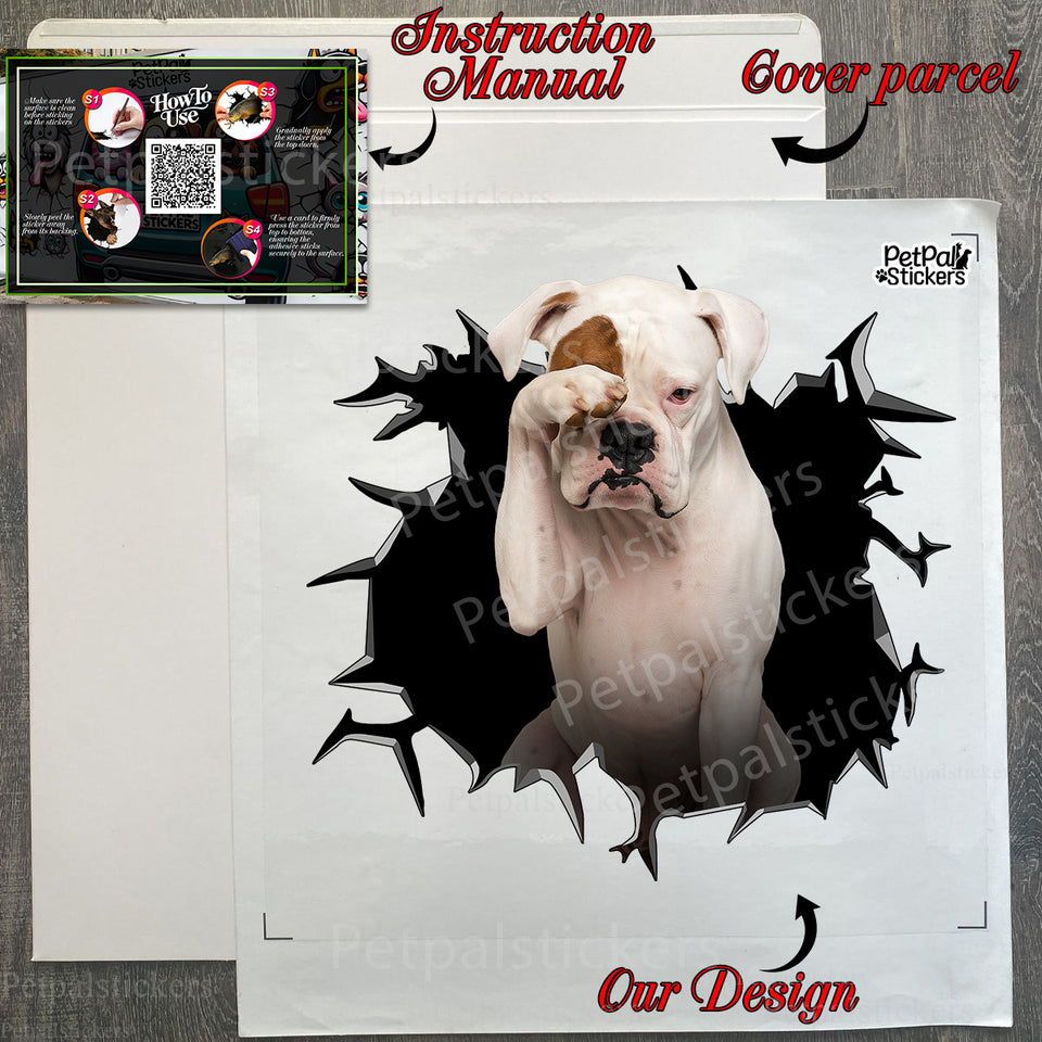 Protective cardboard package containing the White Boxer Dog decal with instructions.