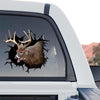 Clear graphic decal featuring a standalone product design of a Whitetail Deer for outdoor display.