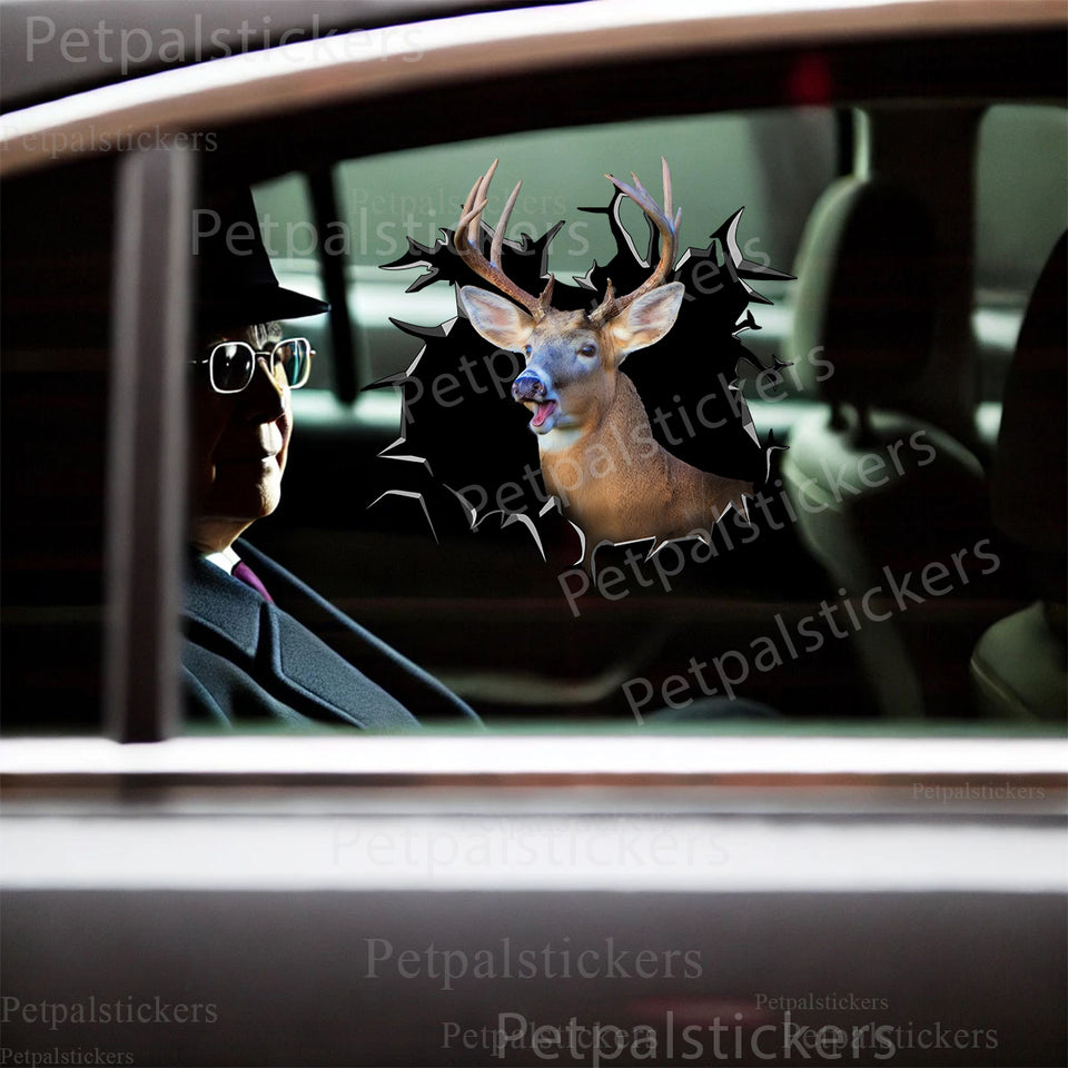 Vibrant Whitetail Deer graphic decal displayed cleanly on an exterior car door.