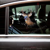 Vibrant Whitetail Deer graphic decal displayed cleanly on an exterior car door.