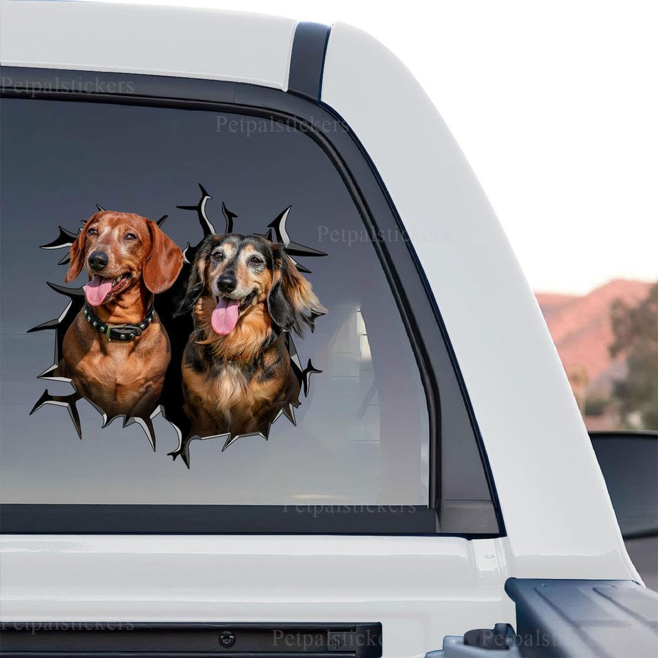 Wiener Dog vinyl car sticker featuring a standalone product design on a transparent background.