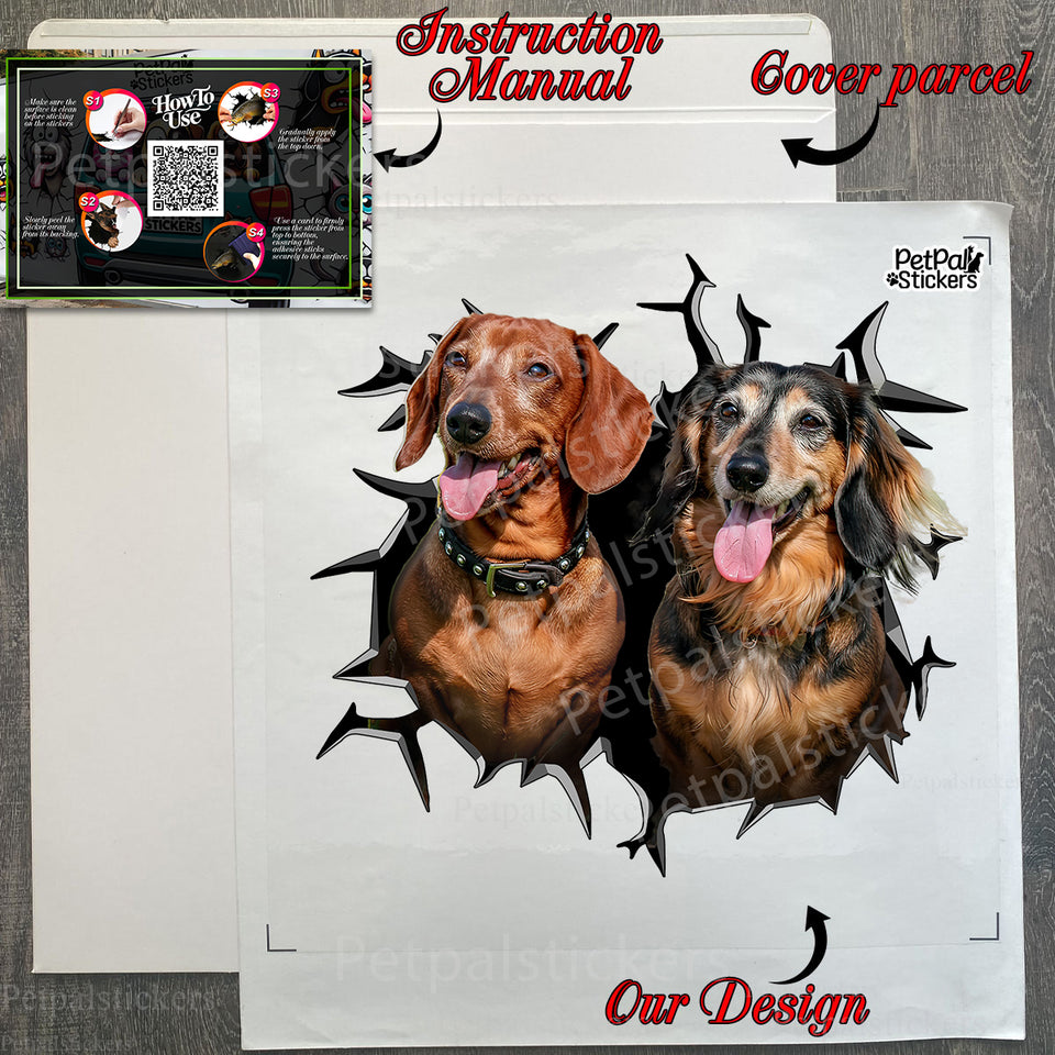 Included Wiener Dog decal ready to apply straight from the unboxed protective package.