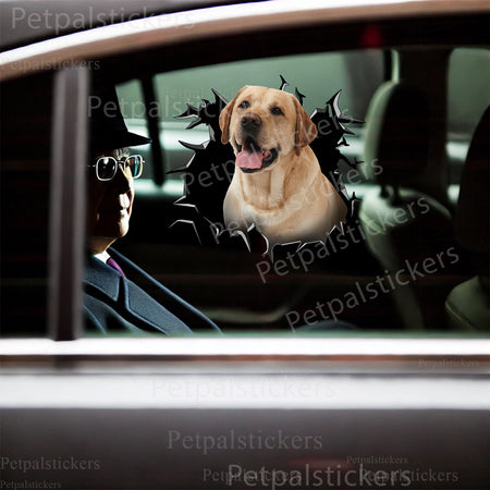 Playful dog sticker graphic placed decoratively on a smooth white toilet tank lid.